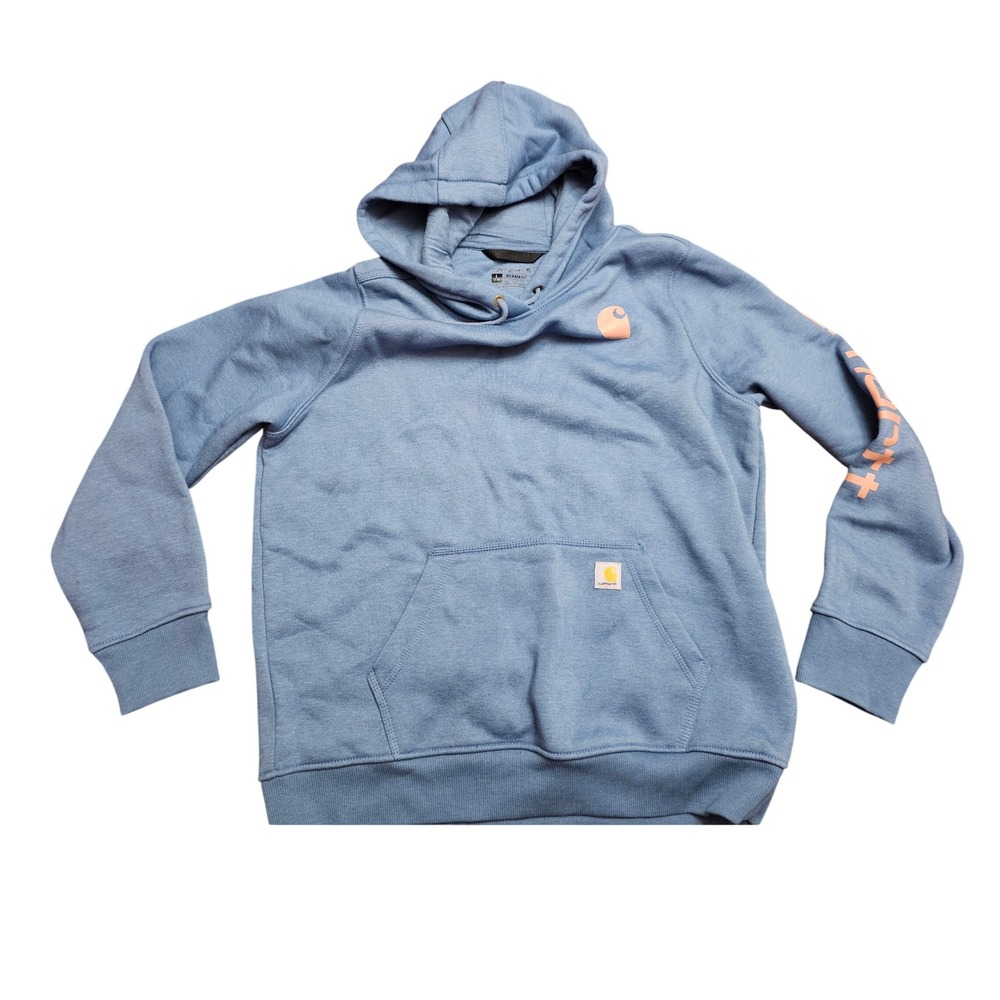 Carhartt Blue Relaxed Fit Graphic Sleeve Pullover Hoodie Sweatshirt Womens L